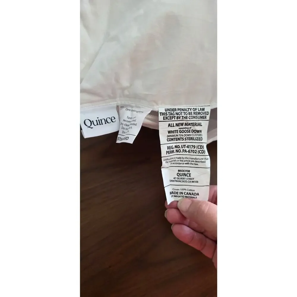 Quince Luxe Standard Goose Down Medium Pillow - NEW